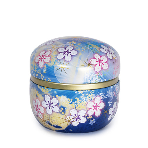 TEA CONTAINER STAINLESS STEEL  W/ PLASTIC LID 100gr